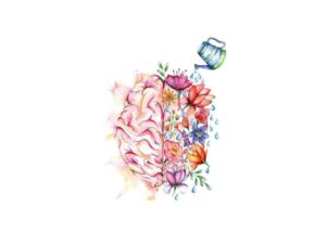 Cervello Felice – Informazioni